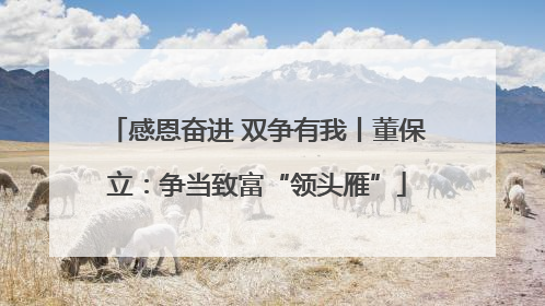 感恩奋进 双争有我丨董保立：争当致富“领头雁”