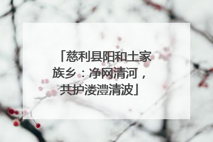 慈利县阳和土家族乡：净网清河，共护溇澧清波
