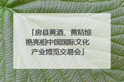 房县黄酒、黄精惊艳亮相中国国际文化产业博览交易会