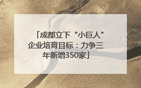 成都立下“小巨人”企业培育目标：力争三年新增350家