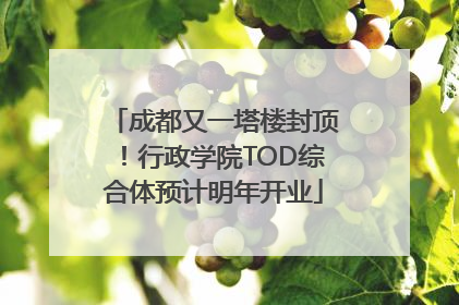 成都又一塔楼封顶！行政学院TOD综合体预计明年开业