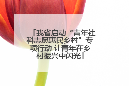 我省启动“青年社科志愿惠民乡村”专项行动 让青年在乡村振兴中闪光