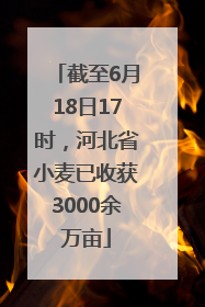 截至6月18日17时，河北省小麦已收获3000余万亩