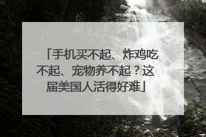 手机买不起、炸鸡吃不起、宠物养不起？这届美国人活得好难
