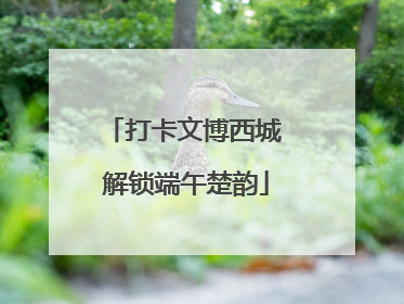 打卡文博西城 解锁端午楚韵