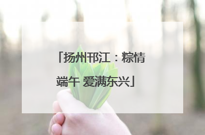 扬州邗江：粽情端午 爱满东兴