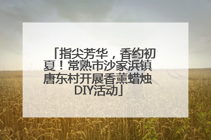 指尖芳华，香约初夏！常熟市沙家浜镇唐东村开展香薰蜡烛DIY活动
