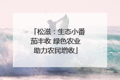松滋：生态小番茄丰收 绿色农业助力农民增收