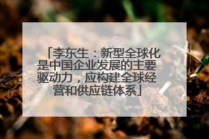 李东生：新型全球化是中国企业发展的主要驱动力，应构建全球经营和供应链体系