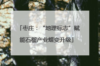 枣庄：“地理标志”赋能石榴产业蝶变升级