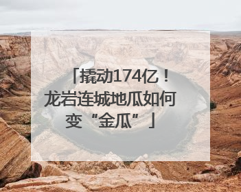 撬动174亿！龙岩连城地瓜如何变“金瓜”
