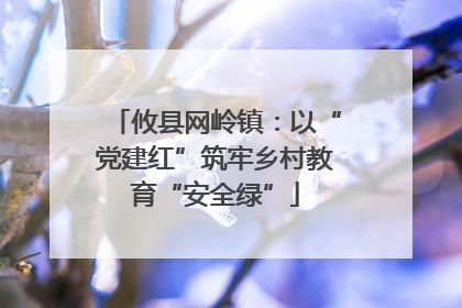 攸县网岭镇：以“党建红”筑牢乡村教育“安全绿”