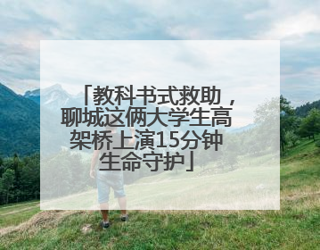 教科书式救助，聊城这俩大学生高架桥上演15分钟生命守护