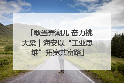 敢当弄潮儿 奋力挑大梁｜海安以“工业思维”拓宽共富路