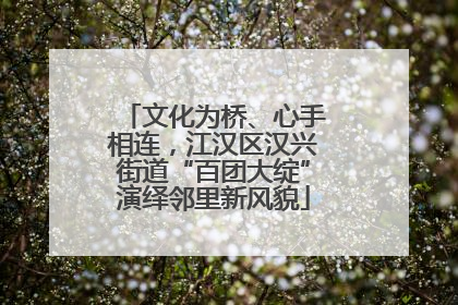 文化为桥、心手相连，江汉区汉兴街道“百团大绽”演绎邻里新风貌