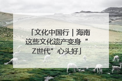 文化中国行｜海南这些文化遗产变身“Z世代”心头好
