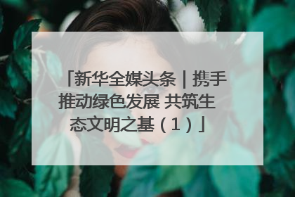 新华全媒头条｜携手推动绿色发展 共筑生态文明之基（1）