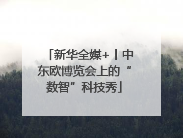 新华全媒+丨中东欧博览会上的“数智”科技秀