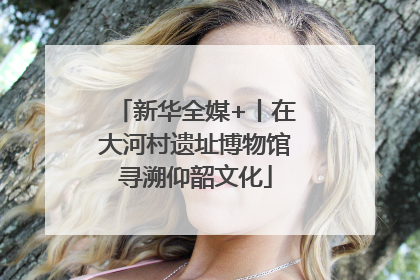 新华全媒+丨在大河村遗址博物馆寻溯仰韶文化