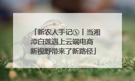 新农人手记⑤丨当湘潭白莲遇上云端电商 新视野带来了新路径