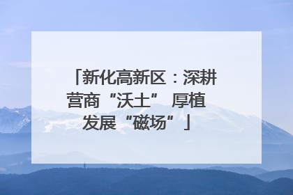 新化高新区：深耕营商“沃土” 厚植发展“磁场”