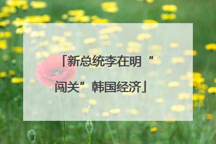 新总统李在明“闯关”韩国经济