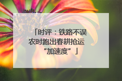 时评：铁路不误农时跑出春耕抢运“加速度”