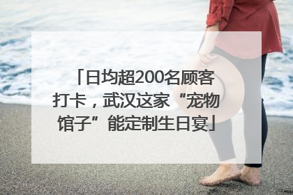 日均超200名顾客打卡，武汉这家“宠物馆子”能定制生日宴