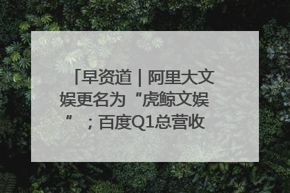 早资道｜阿里大文娱更名为“虎鲸文娱”；百度Q1总营收325亿元超预期
