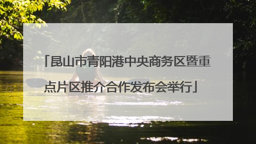 昆山市青阳港中央商务区暨重点片区推介合作发布会举行