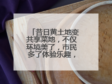 昔日黄土地变共享菜地，不仅环境美了，市民多了体验乐趣，村民还能增收