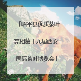 昭平县优质茶叶亮相第十九届西安国际茶叶博览会