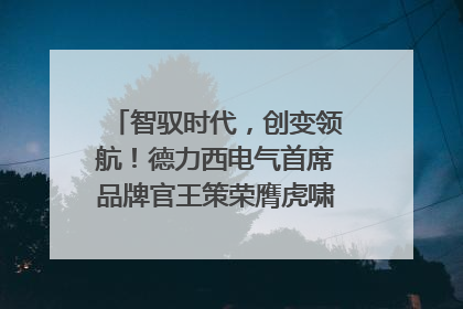 智驭时代，创变领航！德力西电气首席品牌官王策荣膺虎啸奖年度品牌人物