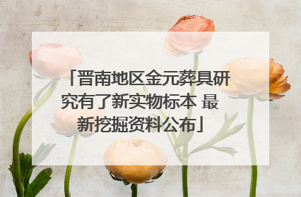 晋南地区金元葬具研究有了新实物标本 最新挖掘资料公布