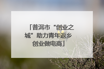 普洱市“创业之城”助力青年返乡创业做电商
