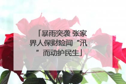 暴雨突袭 张家界人保财险闻“汛”而动护民生