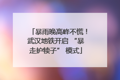 暴雨晚高峰不慌！武汉地铁开启 “暴走护犊子” 模式
