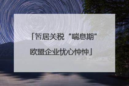 暂居关税“喘息期” 欧盟企业忧心忡忡