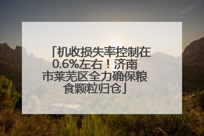 机收损失率控制在0.6%左右！济南市莱芜区全力确保粮食颗粒归仓