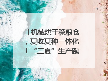 机械烘干稳粮仓，夏收夏种一体化！“三夏”生产跑出加速度｜麦报