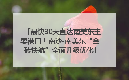 最快30天直达南美东主要港口！南沙-南美东“金砖快航”全面升级优化