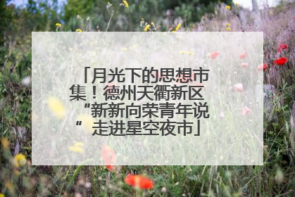 月光下的思想市集！德州天衢新区“新新向荣青年说”走进星空夜市
