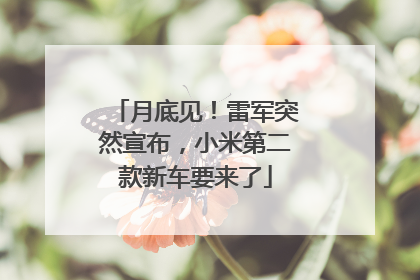 月底见！雷军突然宣布，小米第二款新车要来了