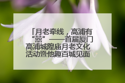月老牵线，高浦有“囍”——首届厦门高浦城隍庙月老文化活动暨他趣百城见面会隆重举办
