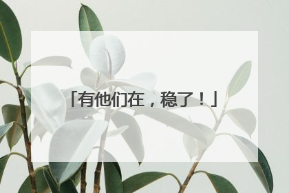 有他们在，稳了！