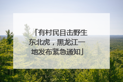 有村民目击野生东北虎，黑龙江一地发布紧急通知