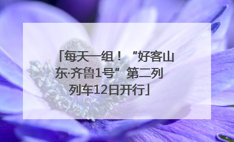 每天一组！“好客山东·齐鲁1号”第二列列车12日开行