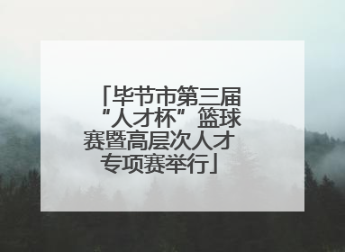 毕节市第三届“人才杯”篮球赛暨高层次人才专项赛举行