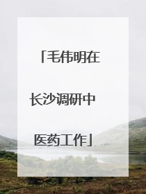 毛伟明在长沙调研中医药工作
