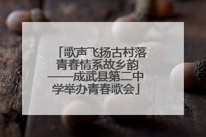 歌声飞扬古村落 青春情系故乡韵——成武县第二中学举办青春歌会